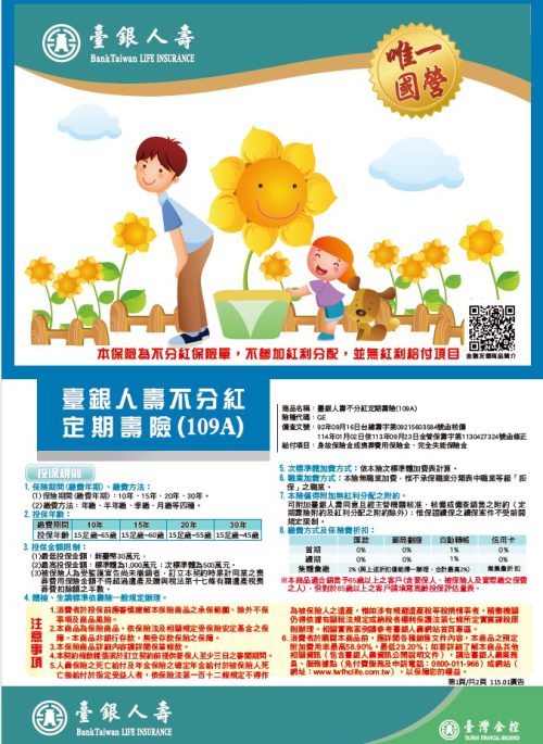 不分紅定期壽險DM