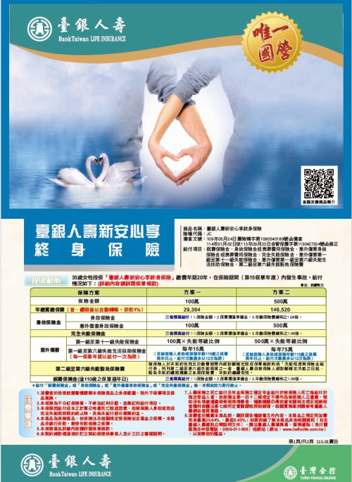 新安心享終身保險DM